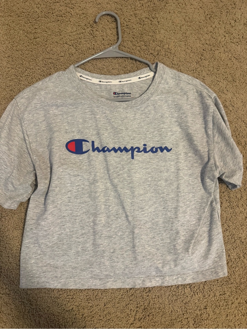 Champion Gray T-Shirt with Blue and Red Logo